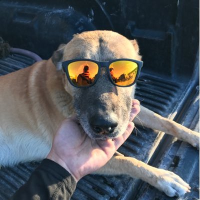 Profile Picture of Mario Saldivar (@msaldivar15) on Twitter