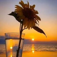 Profile Picture of Madelyn Allen (@madelyn-allen-11) on Quora