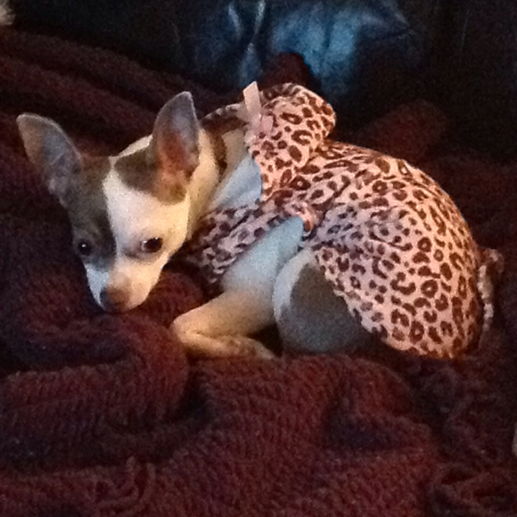 Brittany Janczak - Poshmark Profile Picture of Brittany Janczak (@bjanczak) on Poshmark