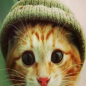 Profile Picture of Alex Mira (@alexmira9152) on Youtube