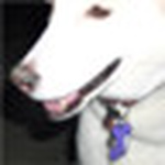 Profile Picture of Luxnorth (@luxnorth) on Flickr