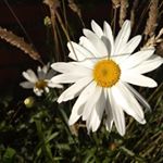 Profile Picture of natalie benson (@photos.of.things.826) on Instagram
