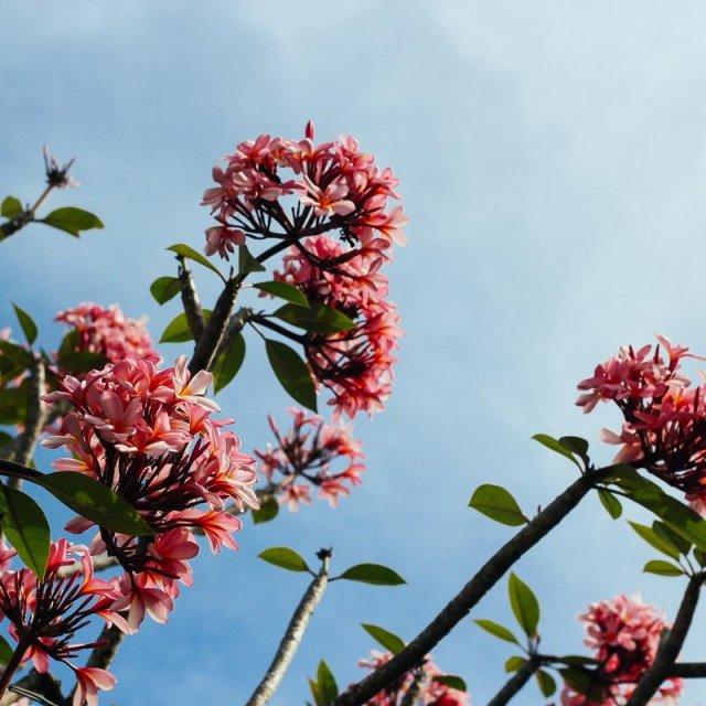 Simone Gordon - Tiktok Profile Picture of Simone Gordon (@@simonegordon) on Tiktok