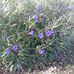 Profile Picture of Bill Lambert (@bill.lambert.33633) on Facebook