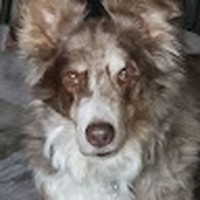 Profile Picture of Debbi Maze (@debbi-maze) on Quora