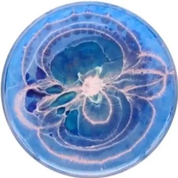 Profile Picture of lucystrudel (@lucystrudel) on Tiktok