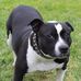 Profile Picture of David Etchells (@david.etchells.14) on Facebook