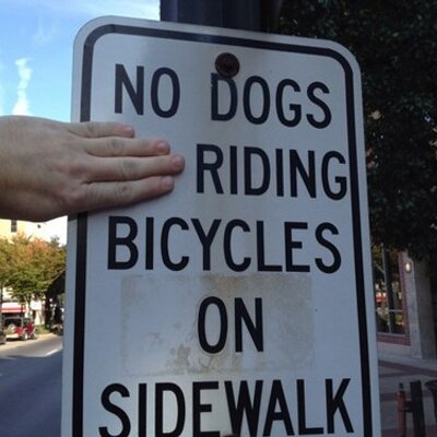 Profile Picture of Christopher Stella (@TM_Brooklyn) on Twitter