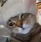 Profile Picture of Богдан Рощина (@Богдан-Рощина) on Facebook