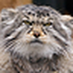 Profile Picture of Glenn Bell (@Ziggy1063) on Flickr