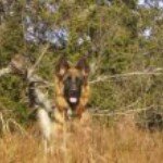 Veronica AAsen - Instagram Profile Picture of Veronica AAsen (@veronicaaasen) on Instagram