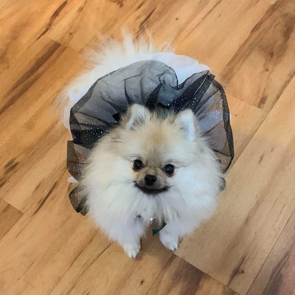 Profile Picture of Joellen Barraclough (@naughtylady31) on Poshmark