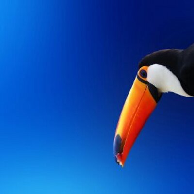 Profile Picture of David Martin (@golpe777) on Twitter