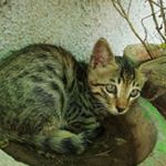 Profile Picture of POOJA UPADHYAY (@poojaupadhyay915) on Instagram