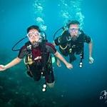 Profile Picture of Andrew Philip (@andrewcaprio) on Pinterest