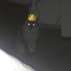 Profile Picture of Laureen Steiner (@@laureensteiner5) on Tiktok