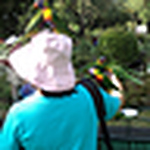 Profile Picture of Megan Roberts (@novice01) on Flickr