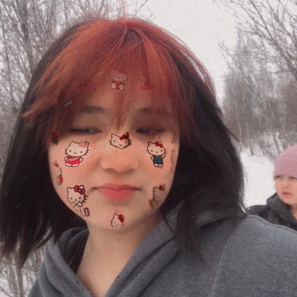 Profile Picture of Karl Gruben (@lilykaulitz) on Poshmark