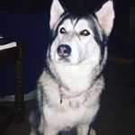 Matthew Velázquez - Instagram Profile Picture of Matthew Velázquez (@mvelazquez_12) on Instagram