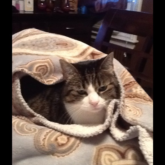 Profile Picture of Ragan Roncka (@ragan1229) on Poshmark