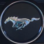 Profile Picture of Daniel Boyce (@db5418) on Instagram