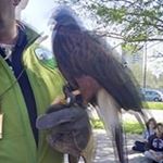 Profile Picture of matteo (@allomatteo052017) on Instagram