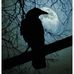 Profile Picture of Ron Kemper (@ron.kemper.547) on Facebook