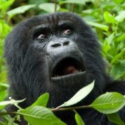 Profile Picture of Jeff Fothergill (@Fothergill77) on Twitter