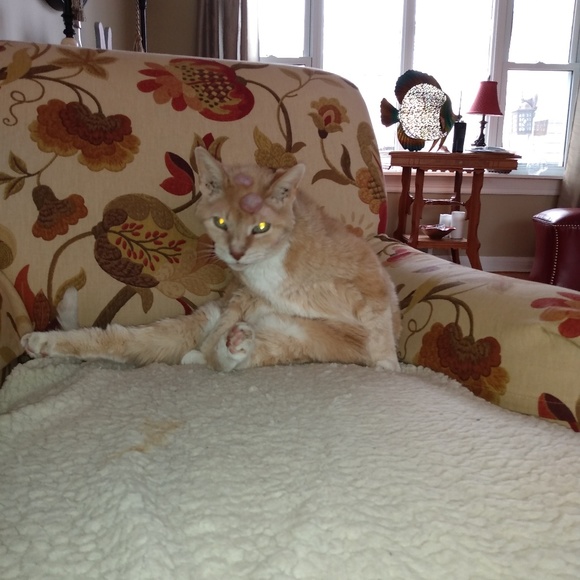 Profile Picture of Joan Pacaud (@joanpacaud) on Poshmark