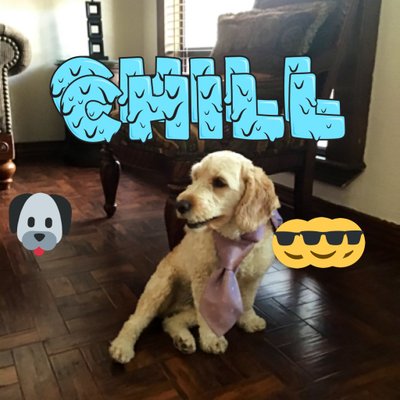 Profile Picture of PaulVenzor (@VenzorPaul) on Twitter