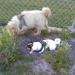 Profile Picture of georgette hillary (@georgettehilla) on Instagram