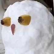 Profile Picture of Fralix (@Fralixx) on Youtube