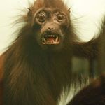 Profile Picture of caden howard (@howardcaden8) on Instagram