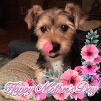 Profile Picture of Janice Bailey (@janice-bailey-25) on Quora