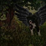 Profile Picture of piper allen (@piper.9_) on Instagram