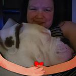 Profile Picture of Dana Hatchel (@danahatchel) on Instagram