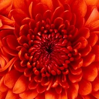 Profile Picture of Cierra Graham (@cierra-graham-7) on Quora