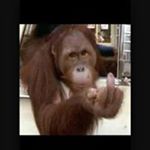 Profile Picture of David Lye (@davidlye1984) on Instagram