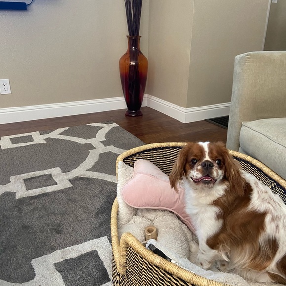 Profile Picture of Lauren Marson (@lauren_marson) on Poshmark