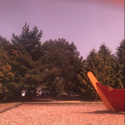 Profile Picture of Michaela Feola (@michael89222878) on Twitter