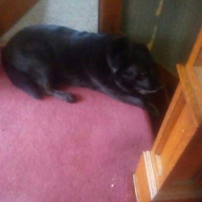 Cooper Phillips - Twitter Profile Picture of Cooper Phillips (@cooperphillips8) on Twitter