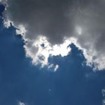 Robin Scullin - Instagram Profile Picture of Robin Scullin (@scullin31) on Instagram