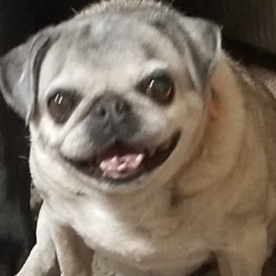 Profile Picture of Benjamin (@RubinoBenjamin) on Twitter