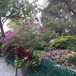 Profile Picture of Suzanne Kasim (@suzkasim) on Instagram