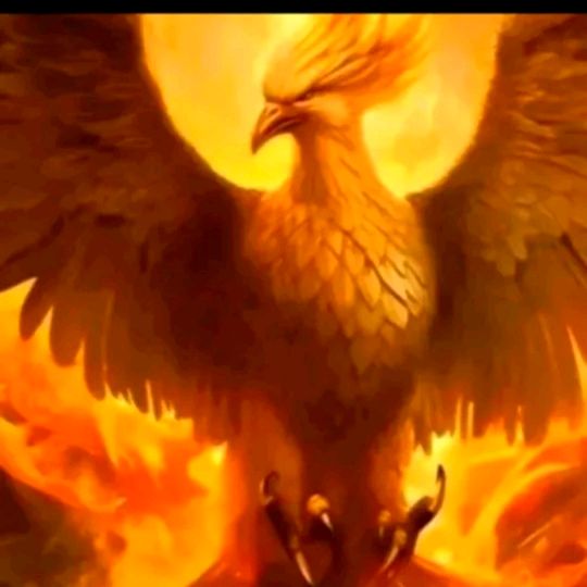 Profile Picture of 💎𝓐𝓗𝓜𝓐𝓓𝓙𝓞𝓝💎 (@ahmadboy058) on Tiktok