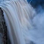 Profile Picture of Diane Colon (@dianecolon77) on Instagram