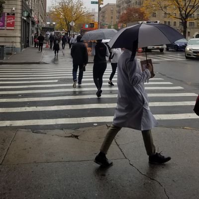 Profile Picture of Judith Stephen (@judithstephen) on Twitter