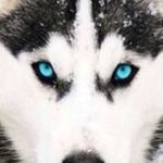 Profile Picture of Danielle Annabella Kempton (@dani_anna123) on Instagram