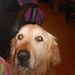 Profile Picture of mathis rayez (@audreyrayez83) on Pinterest