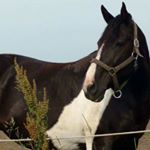 Profile Picture of Mike Slater (@mike.slater.351) on Instagram